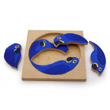 QC Arara Azul do Brasil