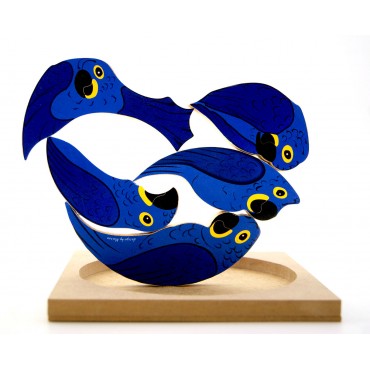 QC Arara Azul do Brasil