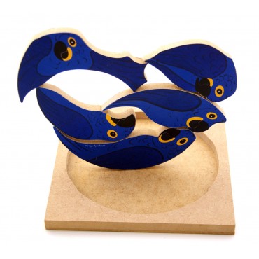 QC Arara Azul do Brasil