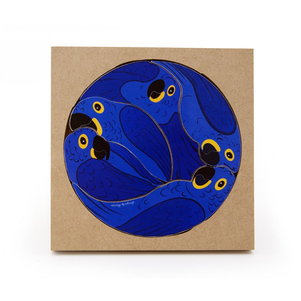 QC Arara Azul do Brasil